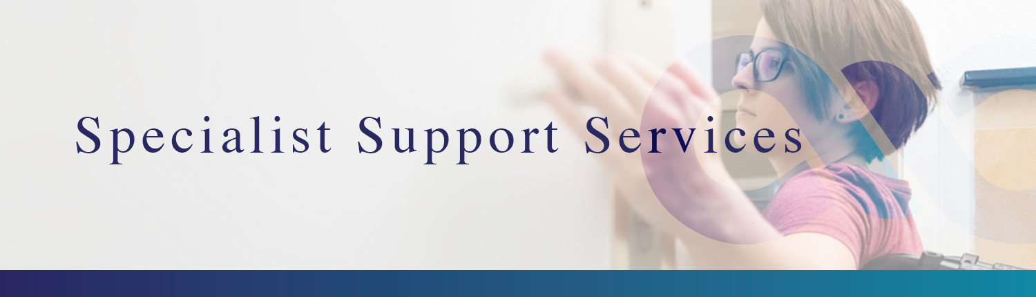 specialist-support-services-direct-link-care-the-holistic-care